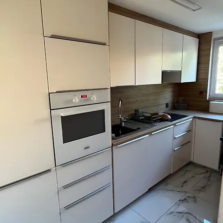 Pet-friendly 4-person アパート *